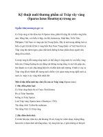 Tài liệu Kỹ thuật nuôi thương phẩm cá Tráp vây vàng (Sparus latus Houttuyn) trong ao pptx