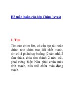 Tài liệu Hệ tuần hoàn của lớp Chim (Aves) docx
