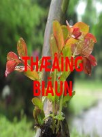 Bài soạn bài giảng về thường biến : sinh động