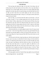 Hoàn thiện công tác kế toán doanh thu, chi phí, xác định kết quả kinh doanh tại công ty cổ phần thức ăn chăn nuôi VINA 