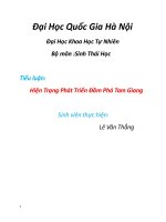 Hiện trạng phát triển đầm phá tam giang 