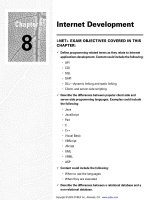 Tài liệu Internet Development doc