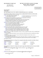 Tài liệu Đề thi CĐ môn Tiếng Anh khối D 2008 M981 pdf