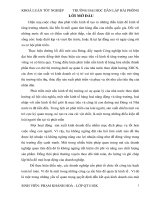 Hoàn thiện công tác kế toán doanh thu, chi phí, xác định kết quả kinh doanh tại công ty cổ phần hoàng vinh 