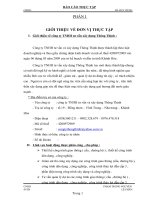 BÁO cáo THỰC tập tốt NGIỆP LĨNH vực THIẾT kế ĐƯỜNG 