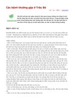 Tài liệu Các bệnh thường gặp ở Trâu Bò ppt