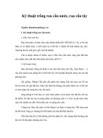 Tài liệu Kỹ thuật trồng rau cần nước, rau cần tây pdf