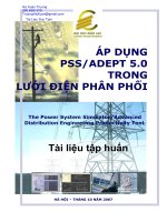 hướng dẫn sử dụng pss/adept