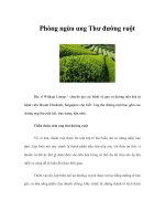 Tài liệu Phòng ngừa ung thư đường ruột pdf