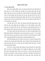 Luan van chuyen de 291332 thiet ke tai lieu day hoc cac lop tu vun chuan 