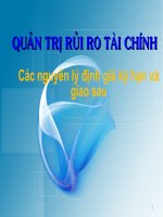 Tài liệu Cac nguyen ly dinh gia KH va GS pptx
