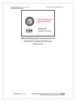 CEHv6 module 53 hacking web browsers 