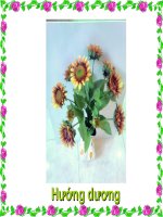 Gián án CÔNG NGHỆ HOA VẢI