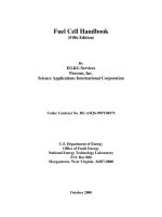 Tài liệu Fuel Cell Handbook docx