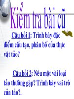 Tài liệu bai reu - cay reu