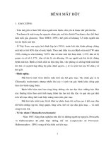 Tài liệu Giáo trình Bệnh mắt hột docx