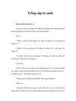 Tài liệu Trồng súp lơ xanh ppt