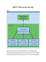 Tài liệu HDCP - Rào cản hay bảo mật pptx