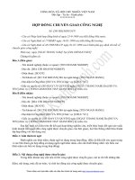 Tài liệu MẪU HỢP ĐỒNG CHUYỂN GIAO CÔNG NGHỆ pptx