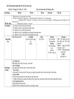 Gián án Tết mùa xuân tuần 3. MGL