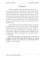 Nghiên cứu xử lý nước thải sinh hoạt bằng cánh đồng lọc quy mô phòng thí nghiệm 