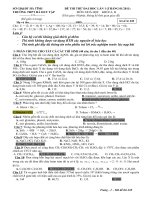 Gián án Đề thi thử ĐH -CĐ lần 2 năm 2011 THPT Hà Huy Tập Cẩm Xuyên Hà Tĩnh