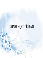 Tài liệu Sinh học tế bào - Các bào quan khác của tế bào pptx
