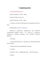 Tài liệu Giáo trình Cephalosporine ppt
