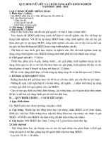 Bài giảng Quy định về viết, chấm SKKN năm 2010- 2011