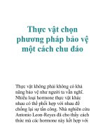 Tài liệu Thực vật chọn phương pháp bảo vệ một cách chu đáo doc
