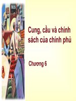 Tài liệu Cung và Cầu chính sách của chính phủ docx