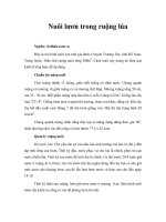 Tài liệu Nuôi lươn trong ruộng lúa doc