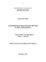 Giải pháp quy hoạch mạng đô thị ở việt nam 