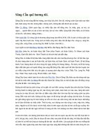 Tài liệu Một số di tích lịch sử - văn hóa ở Sông Cầu