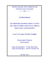 xác định một số dòng giống cà chua quả nhỏ có triển vọng ở các thời vụ khác nhau tại hải dương 