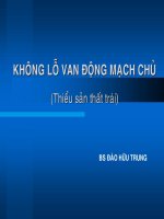 Tài liệu Bài giảng Không lỗ van động mạch chủ (Thiểu sản thất trái) pdf