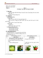 Gián án mt1 bài 6