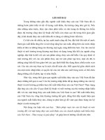 310 biện pháp vượt rào cản kỹ thuật và môi trường đối với mặt hàng thủy sản xuất khẩu của các doanh nghiệp xuất khẩu thủy sản việt nam – thực trạng và giải pháp 