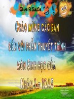 Tài liệu Bài 3: Thành phần hóa học của tế bào doc