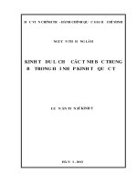 Kinh tế du lịch ở các tỉnh bắc trung bộ trong hội nhập kinh tế quốc tế 