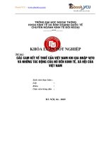 32 ebook VCU các CAM kết về THUẾ của VIỆT NAM KHI GIA NHẬP WTO và NHỮNG tác ĐỘNG của nó đến KINH tế, xã hội của VIỆT NAM 