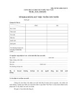 Tài liệu Tờ khai đăng ký việc nuôi con nuôi pptx