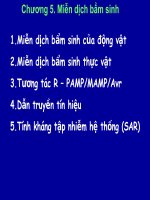 Tài liệu Miến dịch học thực vật chương 5 docx