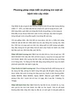 Tài liệu Phương pháp nhận biết và phòng trừ một số bệnh trên cây nhãn docx
