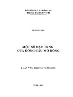 Một số đặc trưng của đồng cấu mở rộng 