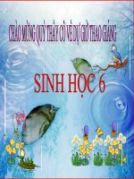 Tài liệu Bài 47: Bảo vệ sự đa dạng của thực vật