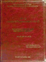 Thị trường cao su việt nam hiện trạng và giải pháp 