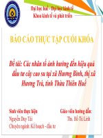 Slide các nhân tố ảnh hưởng đến hiệu quả đầu tư cây cao su tại xã hương bình, thị xã hương trà, tỉnh thừa thiên huế 