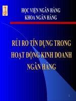 Rủi ro trong hoạt động của ngân hàng