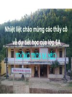 Bài soạn so nguyen to. Hop so. Bang so nguyen to (ga thao giang)